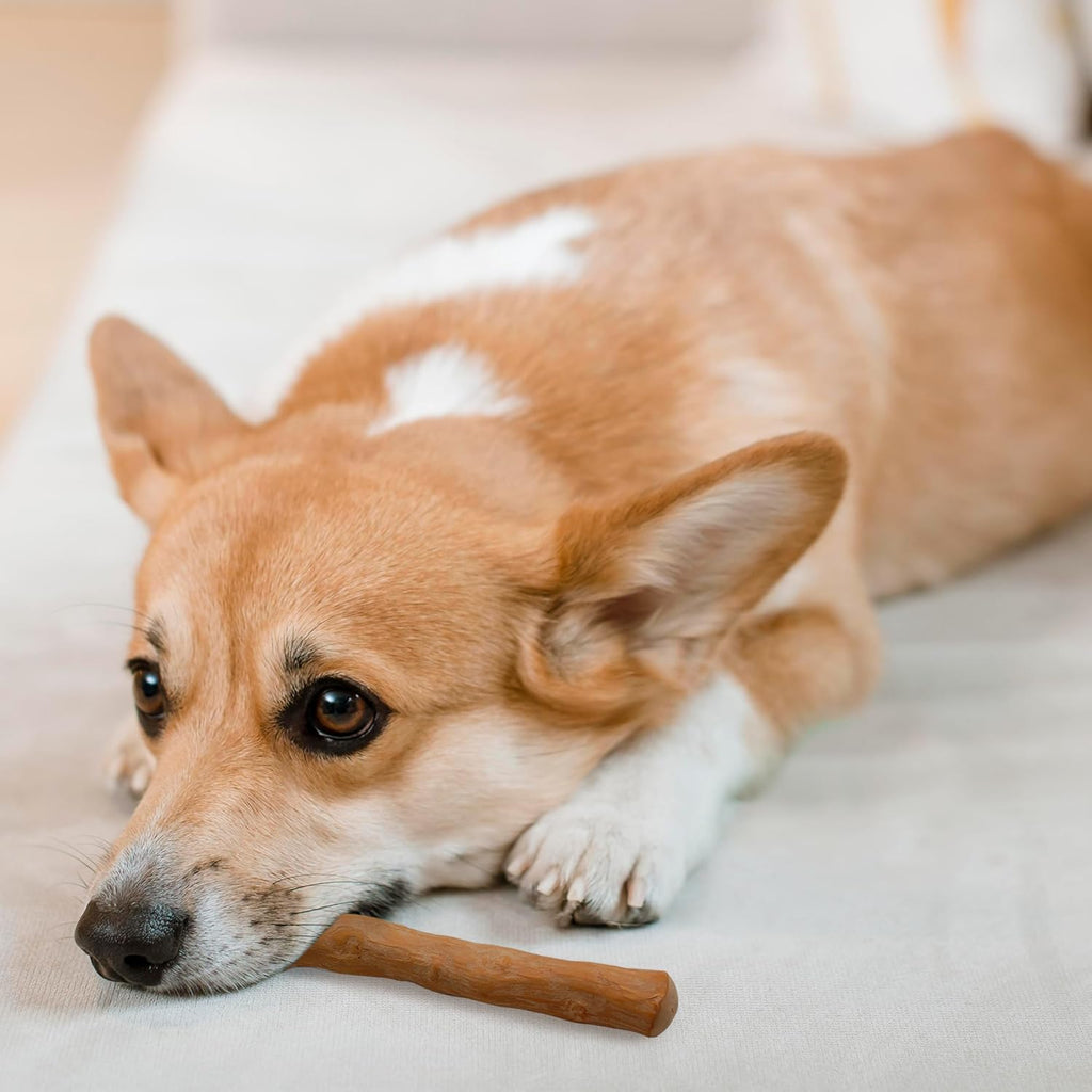 Coffee Wood Dog Chew – Natural Long-Lasting Chew Stick