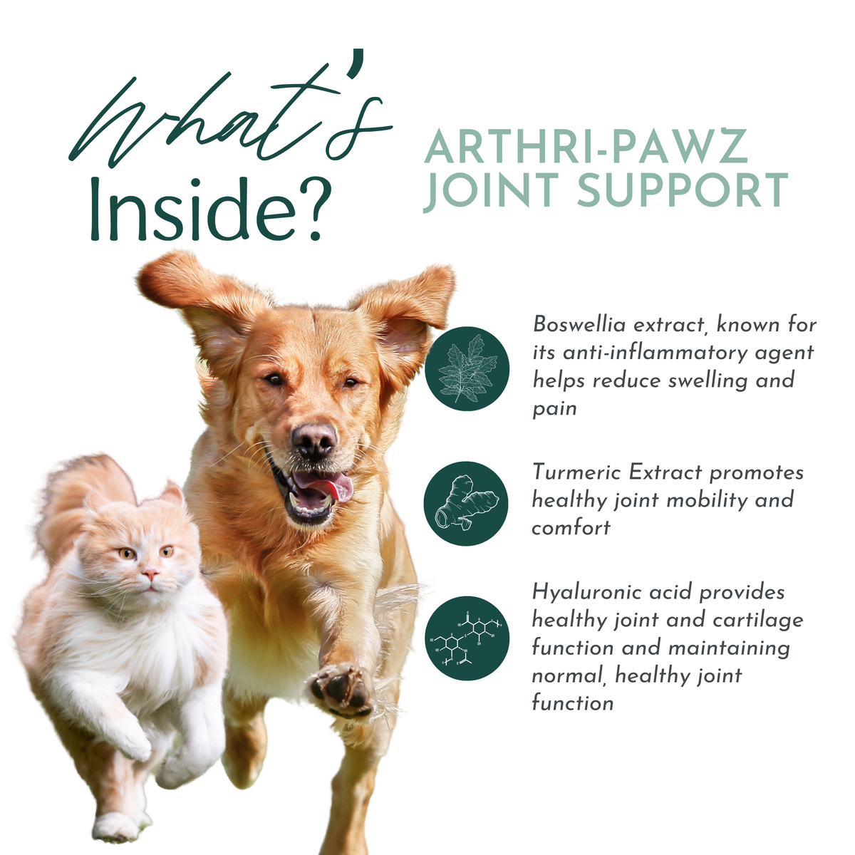 Arthri-Pawz – with Glucosamine for Cats and Dogs