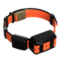 Tracking Collar 1" Replacement Strap Kit