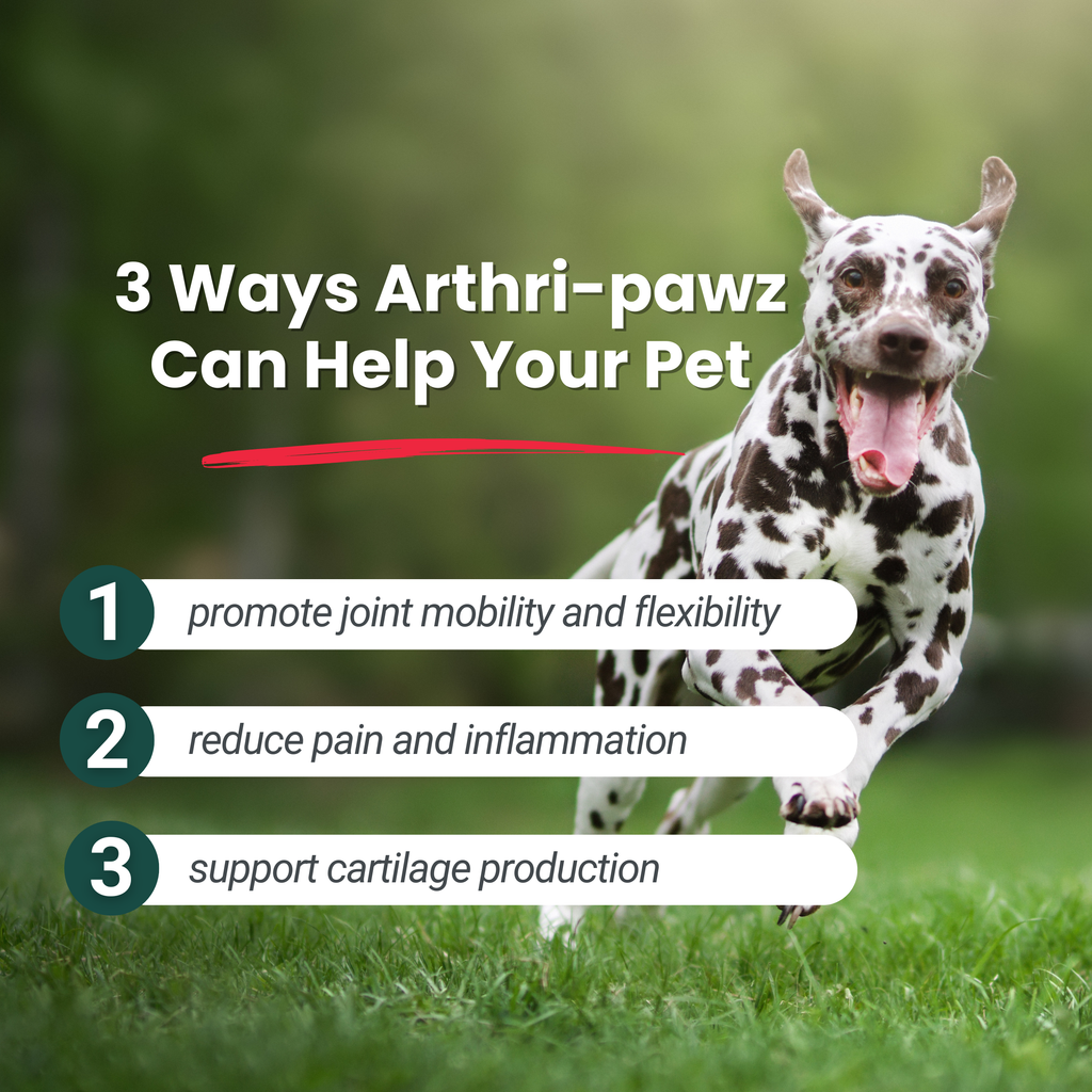 Arthri-Pawz – with Glucosamine for Cats and Dogs